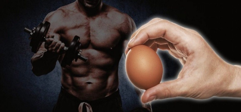 Αυγά: Η πιο ανέξοδη και ποιοτική πρωτεΐνη που υπάρχει! – Fitness Motivation Hellas