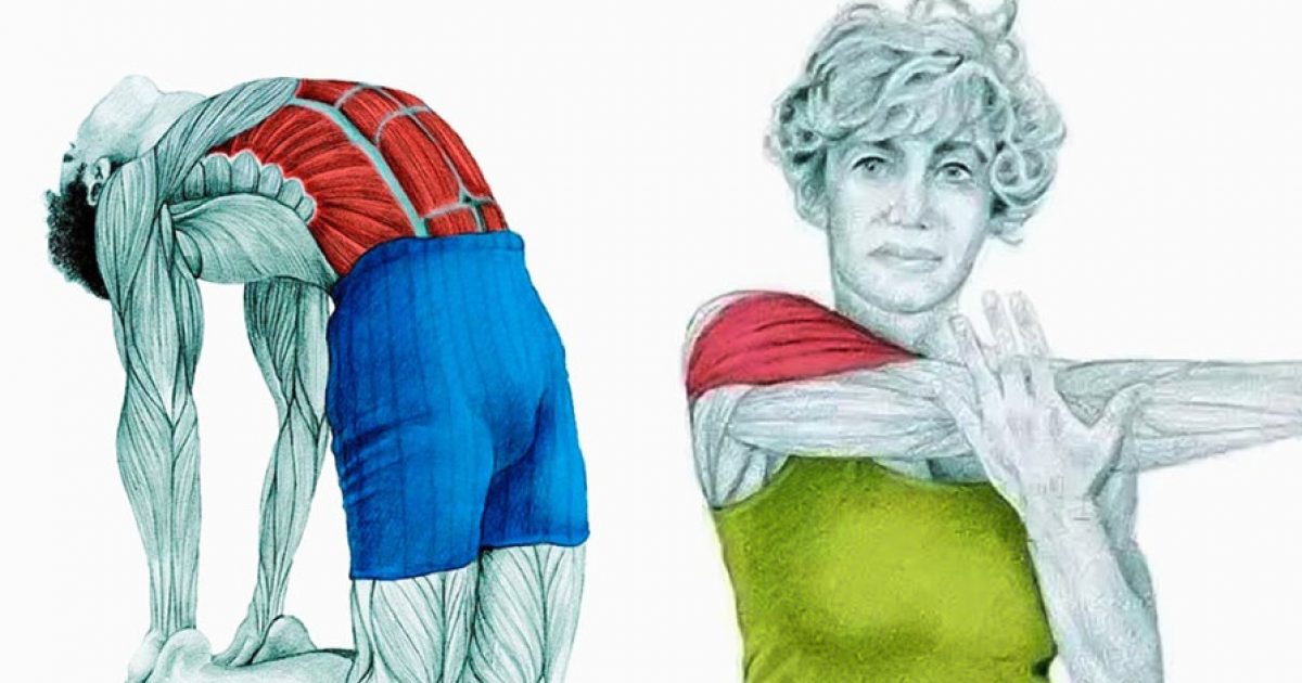 Stretching: Ποιοι μύες ενεργοποιούνται με κάθε άσκηση