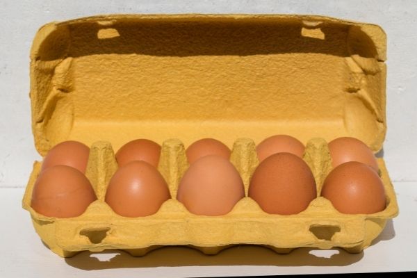 ποσα αυγα την ημερα