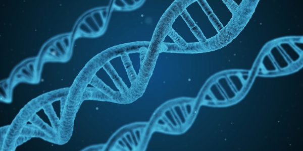DNA: Οι αλυσίδες του, ο αδύναμος κρίκος και τα SOS για τους ανθρώπους