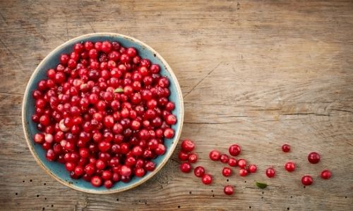 κρανμπερις cranberries superfood