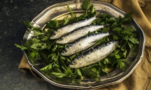 η κατανάλωση ψαριου παρεχει τα απαραιτητα ωμεγα 3 λιπαρα οξεα