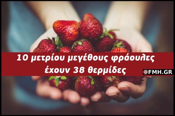 Φράουλες: Αν προσέχεις τη διατροφή σου μάθε ποσες θερμίδες έχει η 1 φράουλα. οι 5 και οι δέκα και πόσες τα 100γρ.